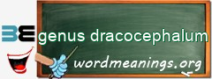 WordMeaning blackboard for genus dracocephalum